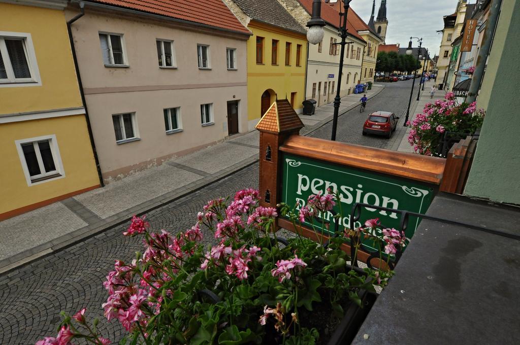 Penzion Na Hradbach ロウニ エクステリア 写真
